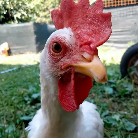 Cottoni Natural Space