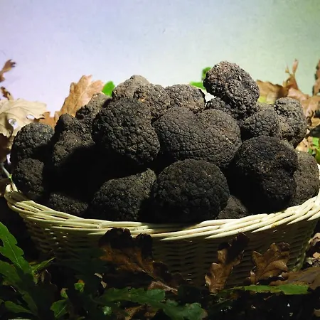 Cottoni Natural Space * Valtopina