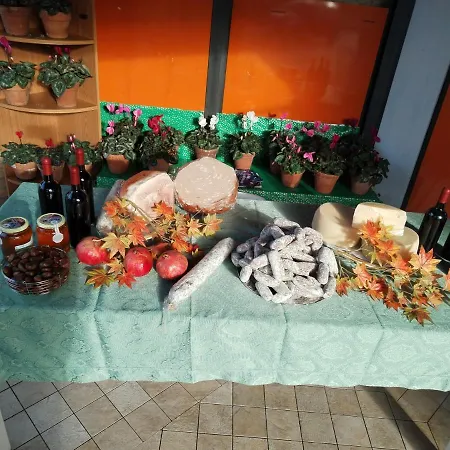 Cottoni Natural Space *