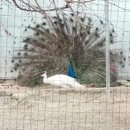 Apartamento Cottoni Natural Space Valtopina