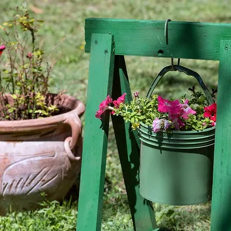 Cottoni Natural Space Apartamento Valtopina