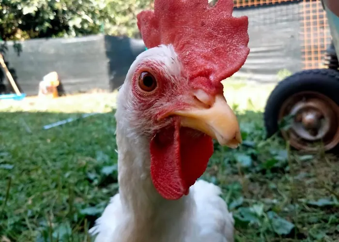 Cottoni Natural Space