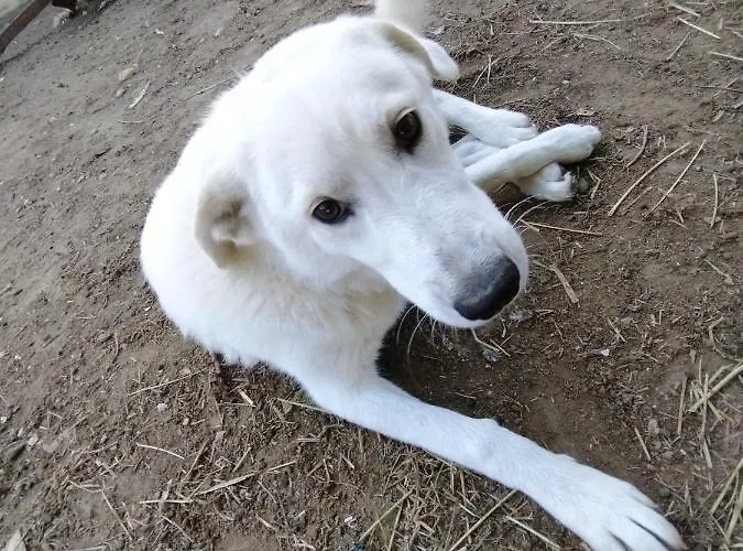 Cottoni Natural Space *