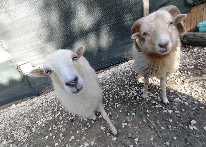 アパート Cottoni Natural Space