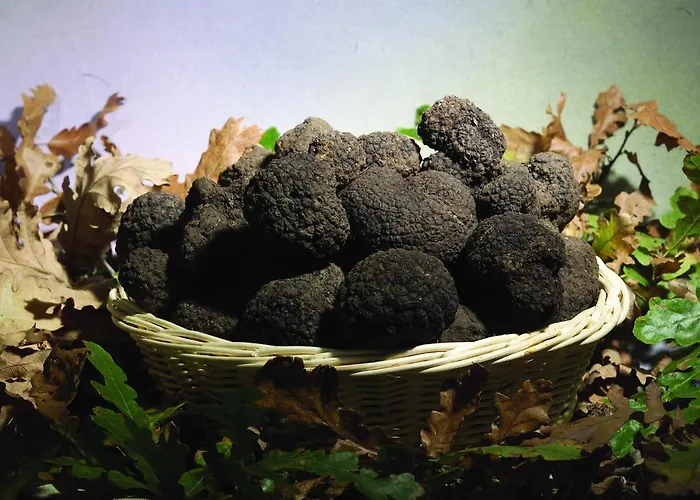 Cottoni Natural Space * Valtopina