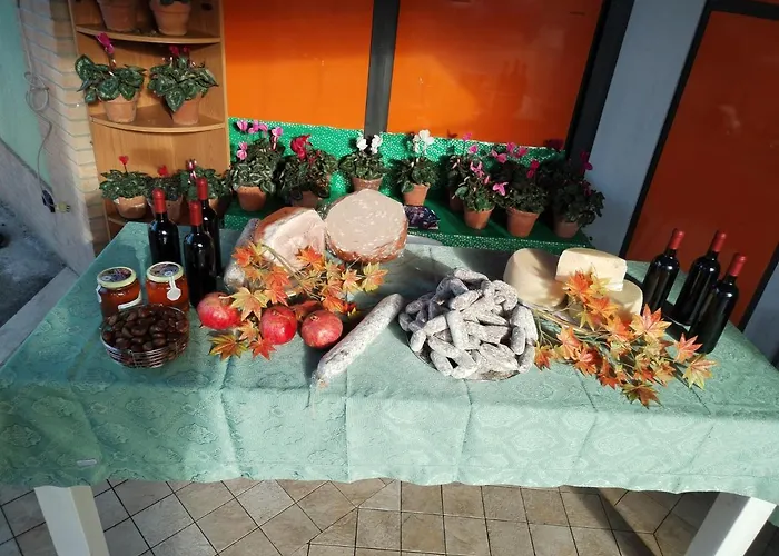 Cottoni Natural Space *