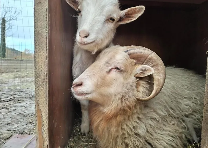 Cottoni Natural Space * Valtopina