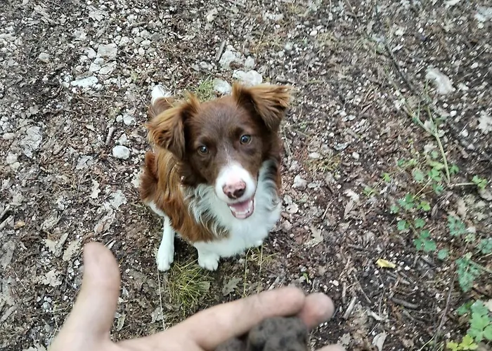 Cottoni Natural Space * Valtopina