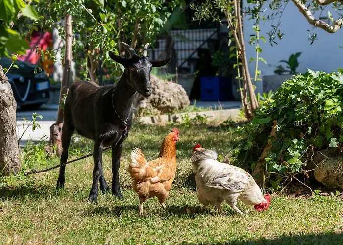 Cottoni Natural Space アパート *