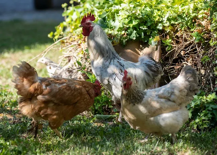 Cottoni Natural Space Valtopina